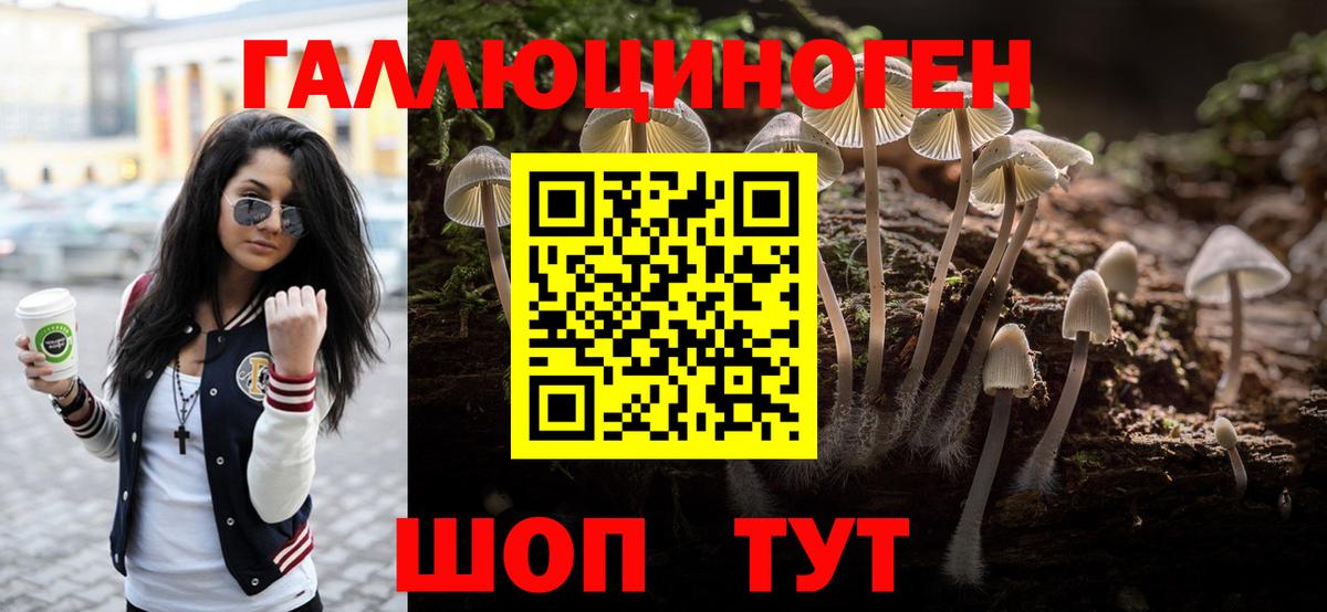 Псилоцибиновые грибы мицелий Уссурийск