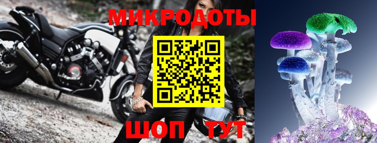 Псилоцибиновые грибы Psilocybe  Псилоцибиновые грибы мицелий  Уссурийск  Вход с VPN 